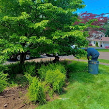 Spring-2025-Planting-Design-Installation-in-Shelton-CT 0